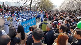 天國樂團在韓國第七屆汝矣島櫻花節上應邀表演，吸引許多觀眾