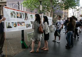 悉尼市政府大樓前，民眾閱讀法輪功真相