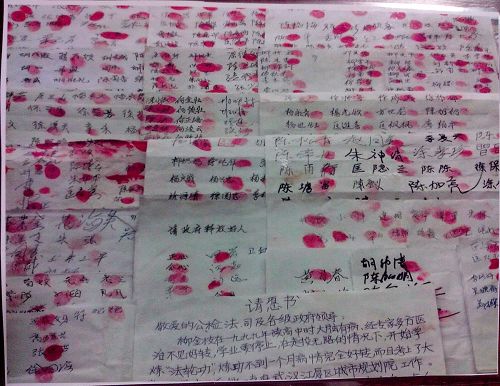 '為柳金枝請願的江夏區九百世人的簽名、手印'