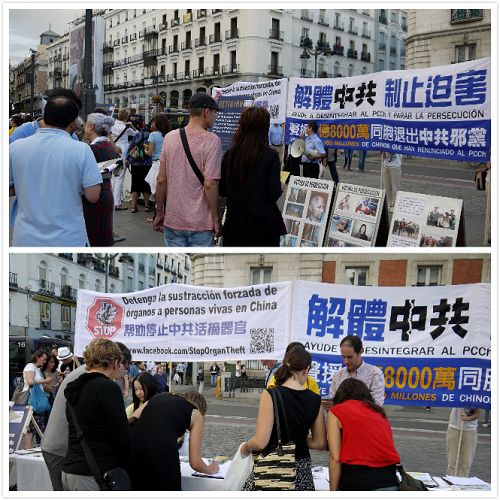 歐洲多個國家的法輪功學員馬德裏集會，向來自世界各地的遊人和民眾展示法輪功功法，徵集簽名反對活體摘取法輪功學員器官