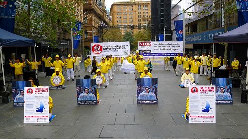 悉尼法輪功學員與支持者在馬丁廣場集會，並以真人演示反酷刑展，向澳洲主流社會揭露中共活摘法輪功學員器官的真相。