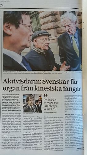 '圖1：《瑞典日報》（SVD）關於中共強摘器官問題的報導'
