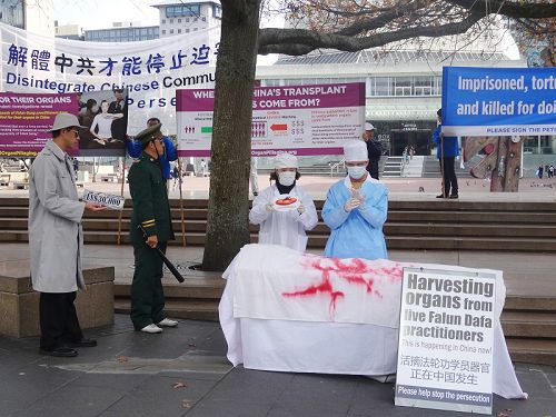 新西蘭奧克蘭市中心的奧緹亞廣場上，法輪功學員模擬演示中共活摘器官