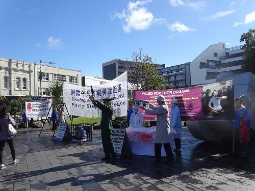 '圖1：新西蘭法輪功學員在奧克蘭繁榮商業區的紐馬克特（Newmarket）公園舉辦反酷刑展，以真人演示揭露中共殘酷迫害法輪功'