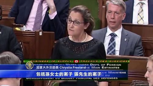 加總訪華前，加拿大外長方惠蘭（女），提到了加拿大訪華代表團會在中國提出的四個個案。其中包括法輪功學員孫茜（Qian Sun）。