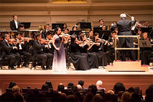 '圖5：二零一八年十月七日下午，神韻交響樂團連續第七年在紐約卡耐基音樂廳演出。圖為小提琴演奏家鄭媛慧在演奏。'