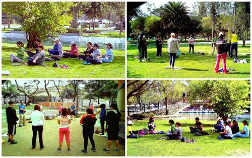 圖4：書展後的週末裏，很多人來到首都基多的卡羅琳娜公園，加入煉功行列