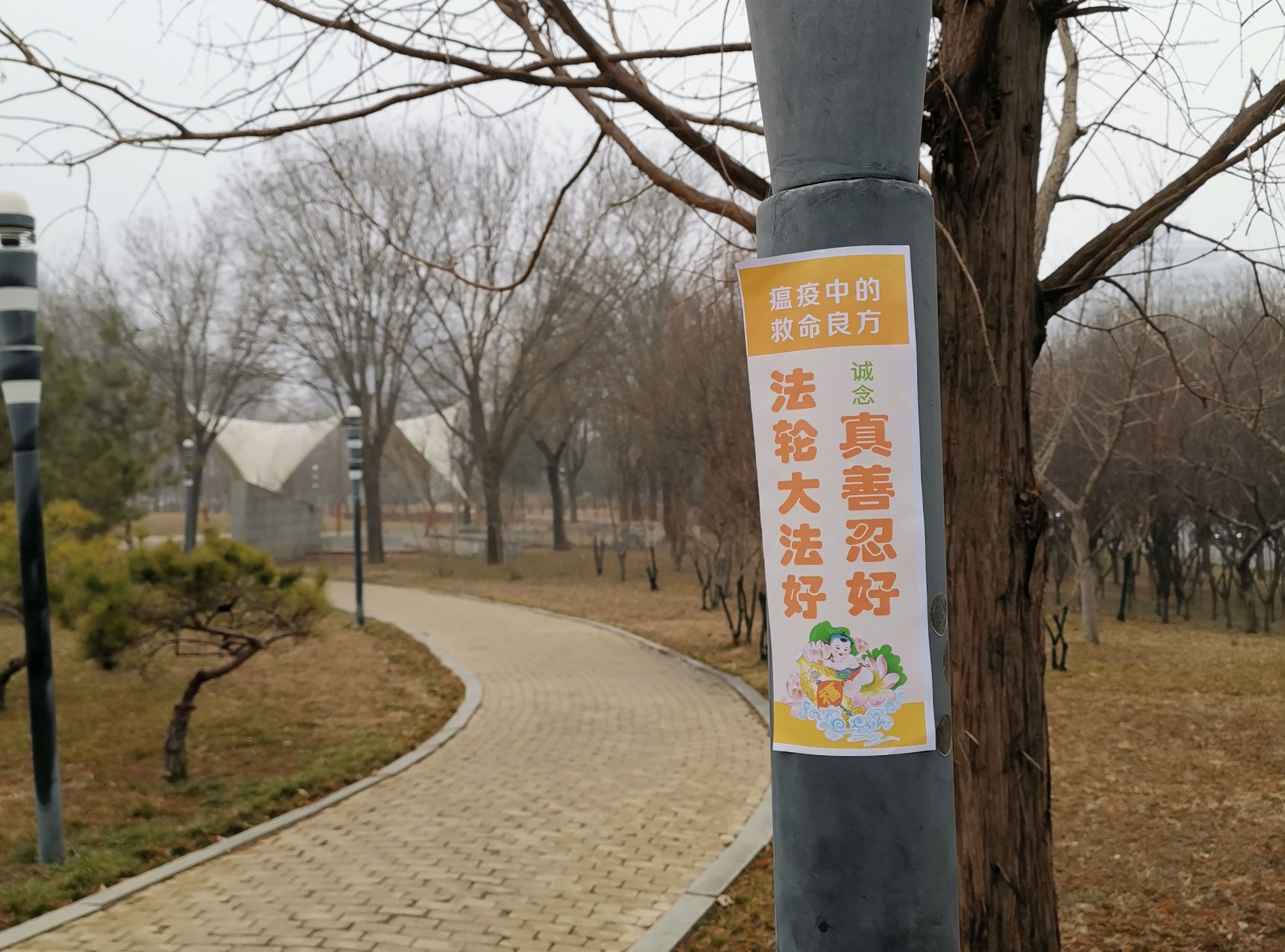 中國大陸法輪功學員用真相貼傳播避疫良方