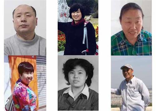 2020年1至5月在迫害中離世的部份法輪功學員（上排從左至右：胡林、周秀珍、高豔，下排從左至右：肖永芬、林桂芝、於永滿）