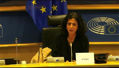 '圖4：2021年11月29日，歐洲議會人權委員會小組主席阿瑞納（Maria Arena）在主持聽證會。（歐洲議會聽證會視頻截圖）'