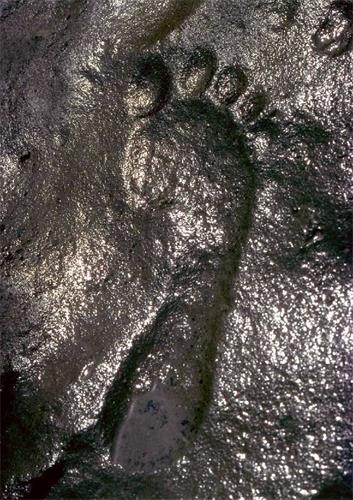 '圖7：紮帕塔腳印化石'