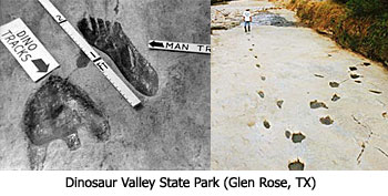 '圖9：人類與恐龍腳印化石的歷史照片（目前人類部份已被拆除）'