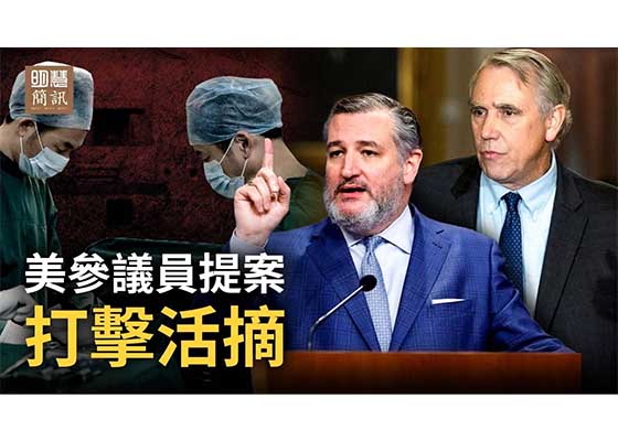 視頻:美參議員提案打擊活摘