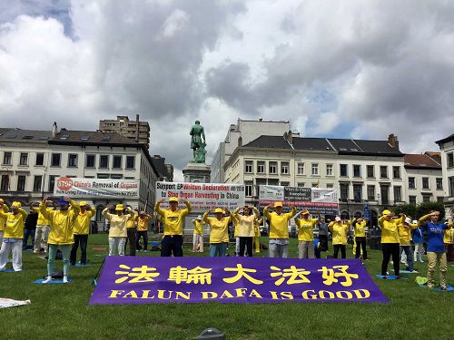 法輪功學員在歐盟布魯塞爾總部門前廣場上舉行和平請願活動