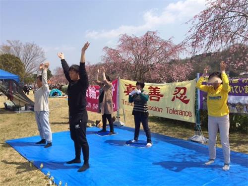 '圖1～4：法輪功學員在豐田市水源公園櫻花節的草坪上煉功'