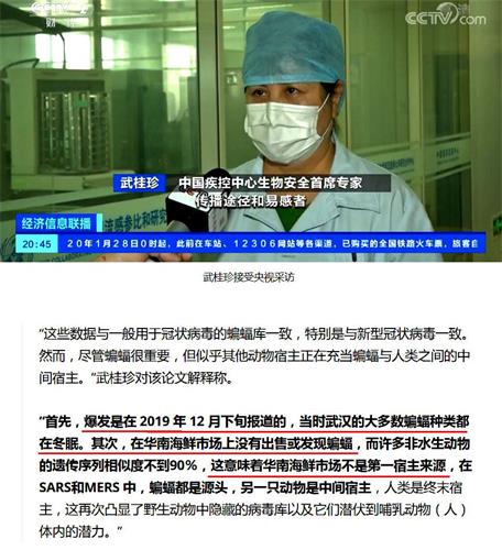 '圖：中國疾控中心專家武桂珍接受央視採訪指出：直接傳染人的不是蝙蝠，源頭也不在海鮮市場。（網路截圖）'
