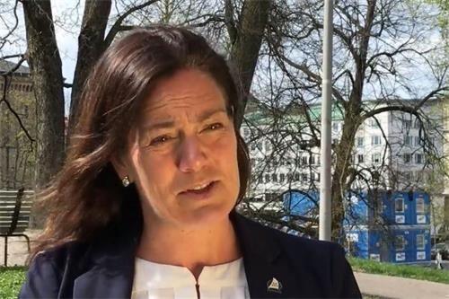 '圖5：瑞典國會議員阿爾梅（Ann-Sofie Alm）。'