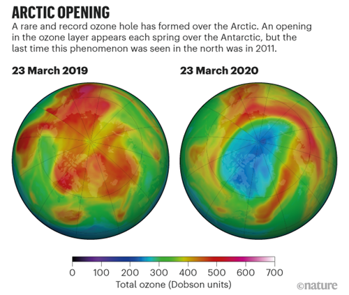 二零二零年三月，北極上空出現一個巨大的臭氧層空洞。（圖片來源：NASA Ozone Watch）