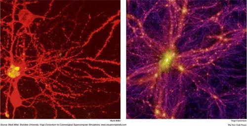 '圖26：人腦神經結構與模擬宇宙大尺度結構'