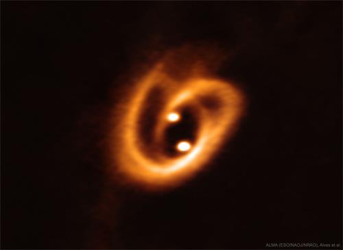 '嬰兒「雙太陽系」BHB2007 （Image credit：ALMA（ESO / NAOJ / NRAO），Alves等）'