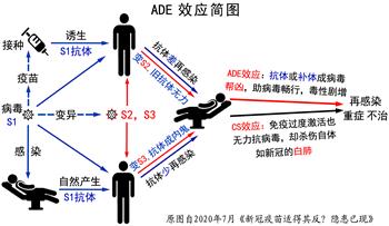 圖6：ADE效應簡要圖示