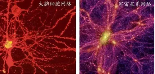 '圖四：大腦細胞網絡與宇宙星系網絡'